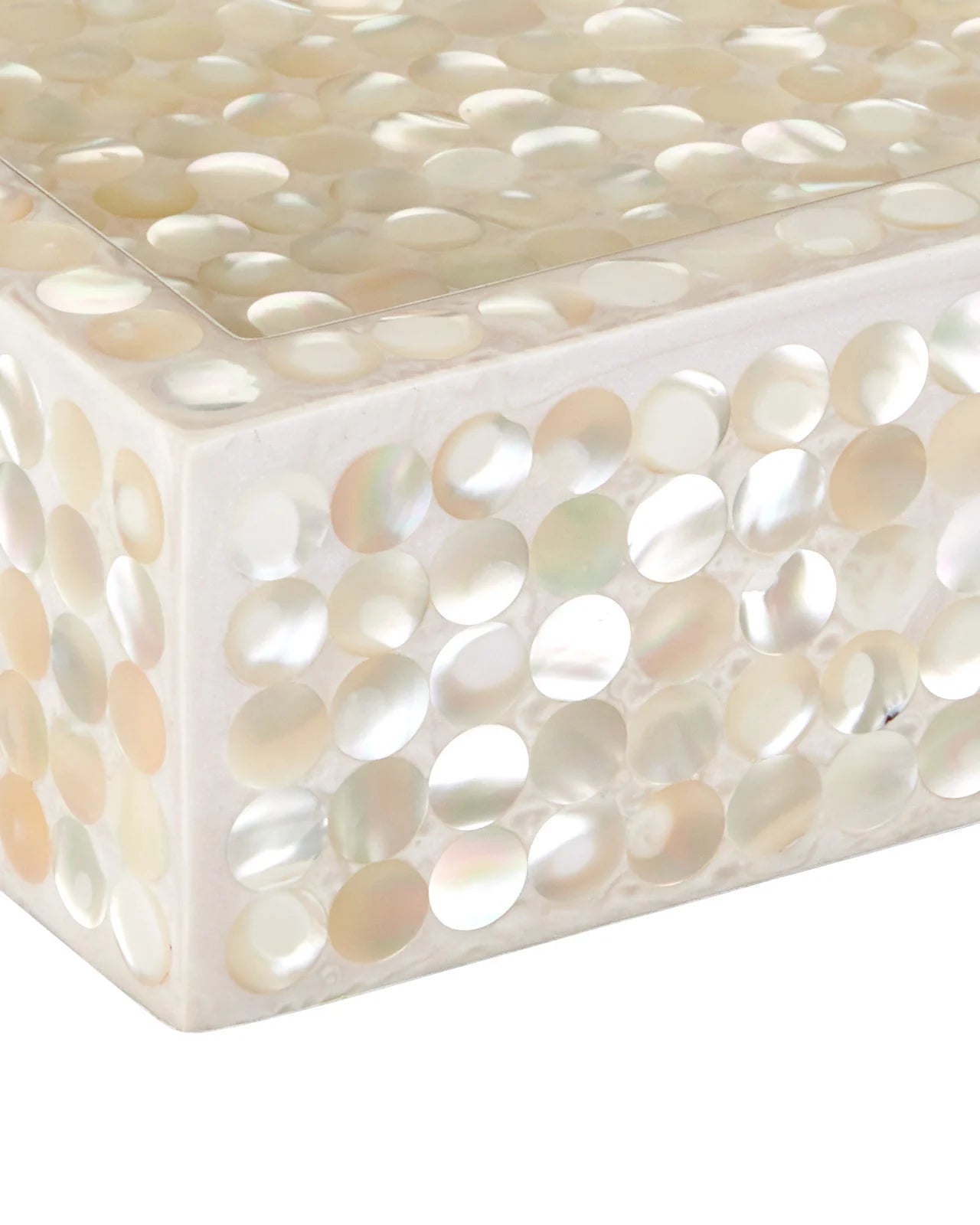 Gerri Dot Mother of Pearl Tray Set of 2