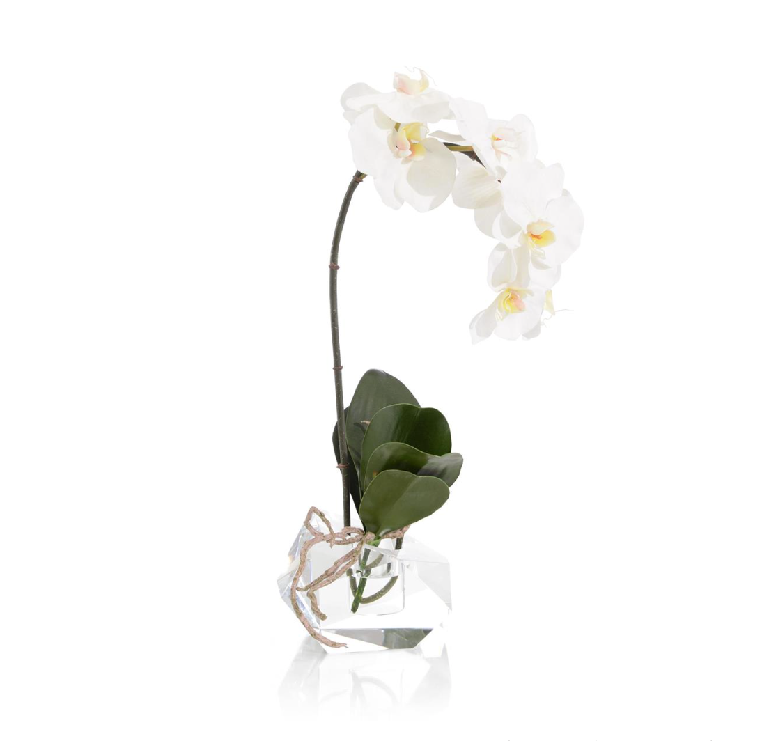 Real Touch Orchid