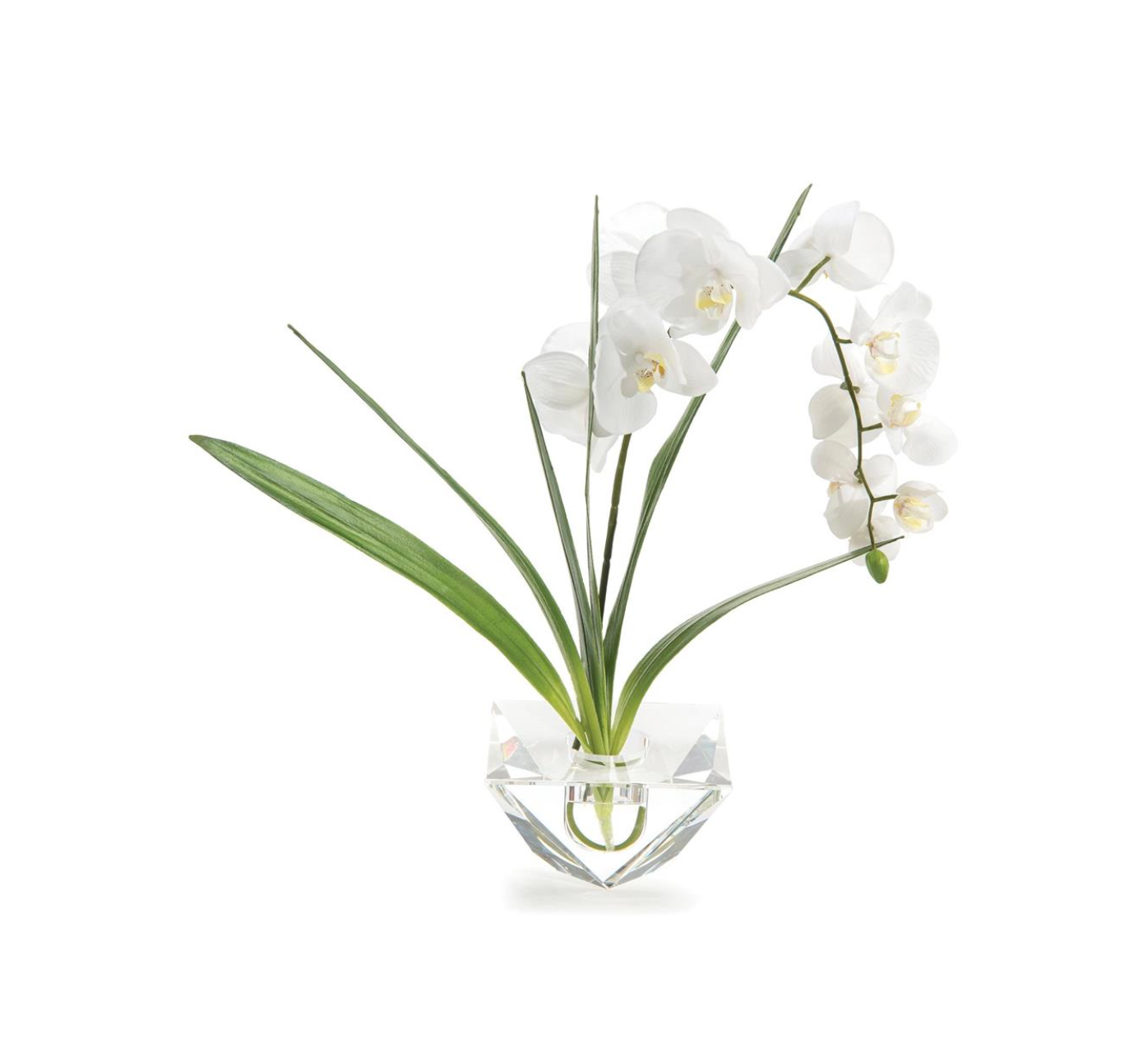 Cut Crystal Orchid
