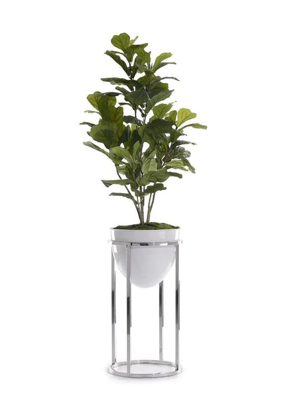 Green Fiddler-Leaf Fig Tree with Silver Stand